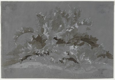 Studium plevelů, 1800-1850. od Jean Antoine Linck