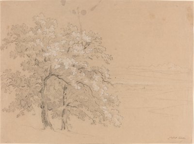 Sluncem zalité stromy před panoramatickou krajinou od Jean Antoine Linck