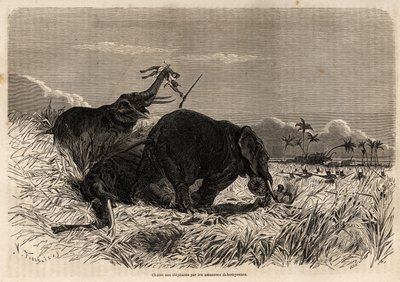 Lov na slony dahomskými amazoňany od Jean Antoine Valentin Foulquier
