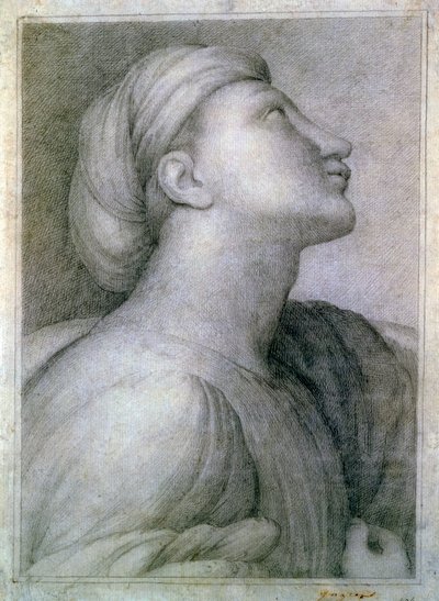 Profil obličeje od Jean Auguste Dominique Ingres