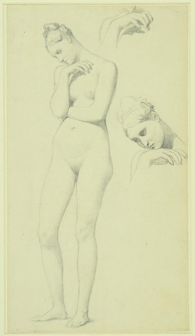 Studie k postavě Stratonice, asi 1834-40 (tužka na papíře) od Jean Auguste Dominique Ingres