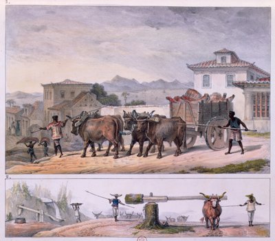 Přeprava masa a zkrocení vola od Jean Baptiste (after) Debret