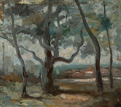 Velký strom (studie) od Jean Baptiste Camille Corot