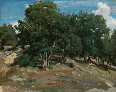 Fontainebleau: Duby v Bas-Bréau, 1832-3 (olej na papíře, položené na dřevě) od Jean Baptiste Camille Corot
