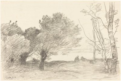 Vrby a topoly bílé (Saules et peupliers blancs) od Jean Baptiste Camille Corot