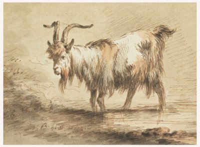 Kresba, Studie kozy, 1772 od Jean Baptiste Huet