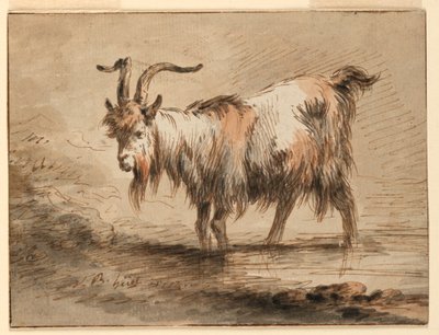 Kresba, Studie kozy, 1772 od Jean Baptiste Huet