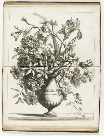 Bloemenvaas Knihy několika květinových váz vyrobených podle Natural (název série) od Jean Baptiste Monnoyer