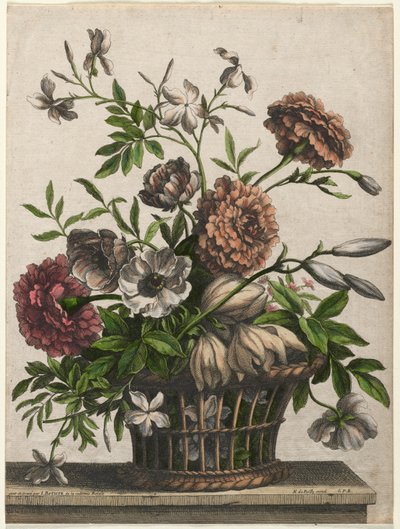 Marigolds, single Sasanka, Jasmine.... od Jean Baptiste Monnoyer I