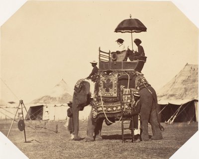 [Lady Canning], 1858-61. od Jean Baptiste Oscar Mallitte