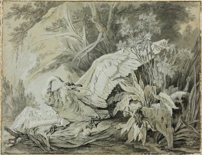 Divoká labuť napadená psem od Jean-Baptiste Oudry