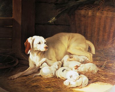 Fena kojící štěňata, detail z Lise et ses petits, Jean-Baptiste Oudry (1686-1755), Francie od Jean Baptiste Oudry