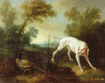 Blanche, fena z královské lovecké smečky od Jean Baptiste Oudry
