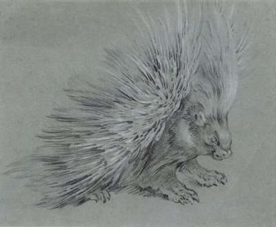 Dikobraz od Jean Baptiste Oudry