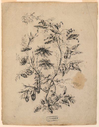 Kresba, Větvička fantastického stromu, 1775-1800 od Jean Baptiste Pillement