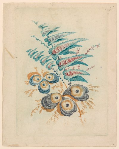 Fantastický květinový motiv z Nouvelle Suitete de Cahiers de Fleurs Idéales od Jean Baptiste Pillement