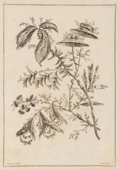 Květinová větev od Jean Baptiste Pillement