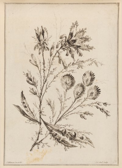 Květinová větev od Jean Baptiste Pillement