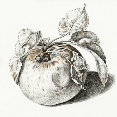 Apple od Jean Bernard