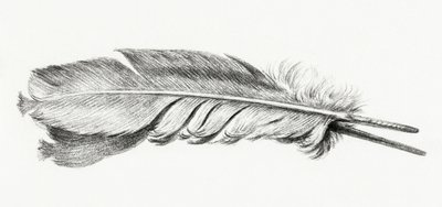 Pírko od Jean Bernard