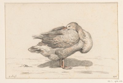 Gans od Jean Bernard