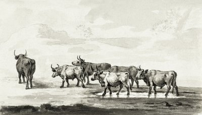 Skupina šesti býků od Jean Bernard