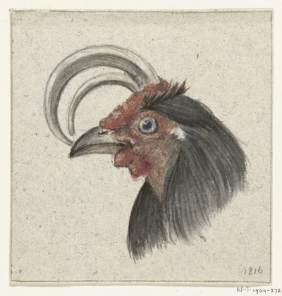 Hlava kohouta od Jean Bernard