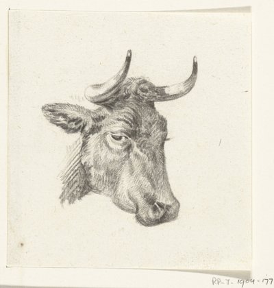 Hlava krávy od Jean Bernard