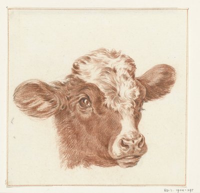Hlava krávy od Jean Bernard