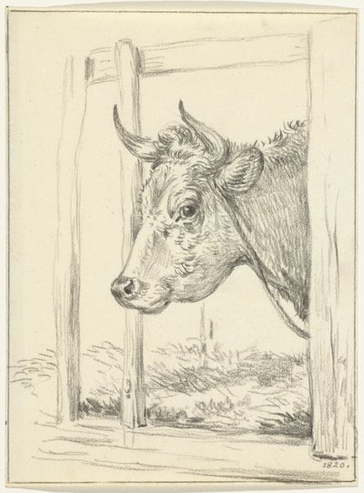 Hlava krávy, ve stáji, vlevo od Jean Bernard