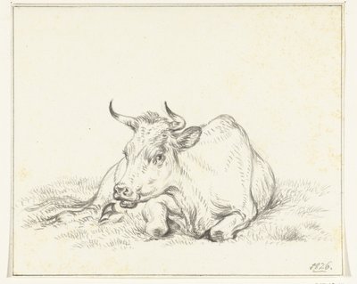 Ležící kráva, zepředu od Jean Bernard