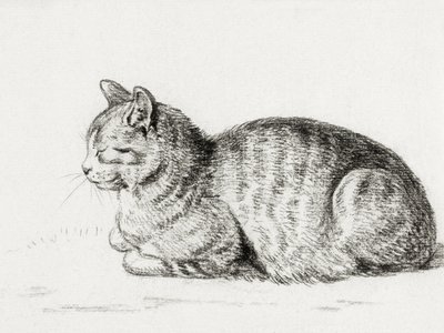 Ležící kočka (1811) od Jean Bernard