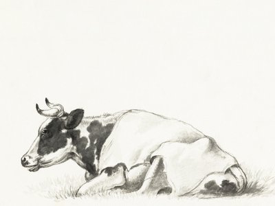 Ležící kráva, autor: Jean Bernard od Jean Bernard