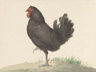 Staande Zwarte Kip (1775–1833) od Jean Bernard