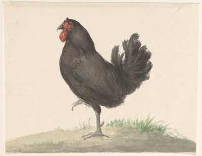 Stojící černé kuře od Jean Bernard