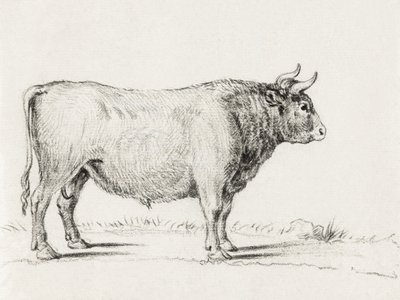 Stojící býk od Jean Bernard