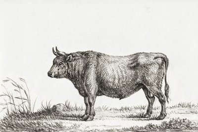 Stojící býk od Jean Bernard