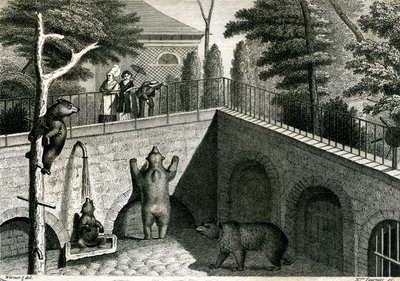 Medvědí brloh v zoo od Jean Charles Werner