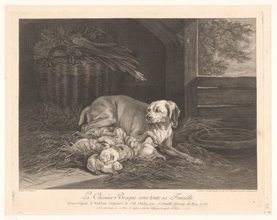 Bracke-hond se setkal s jongenem v een stal Braque pes s celou svou rodinou. (název na objektu) od Jean Daullé