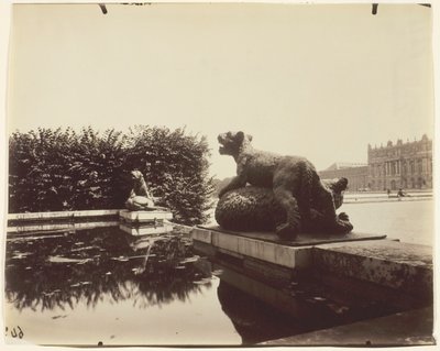 Versailles, Fontaine du Point du Jour, (Tigre Terrassant un Ours by Houzeau) od Jean Eugène Auguste Atget