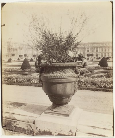 Versailles, váza od Ballin od Jean Eugène Auguste Atget