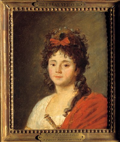 Obraz Jean Francois Garneray (1755-1837) od Jean Francois Garneray