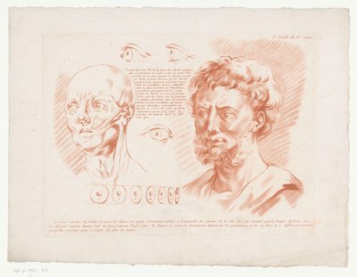 Dvě hlavy a oči mužů z různých úhlů pohledu 3.e Feuille du 8e Cahier. (název na objektu) Kompozice s částmi lidského těla (název série) Huitième Cahier de Principes de Design (název série) od Jean Francois Janinet