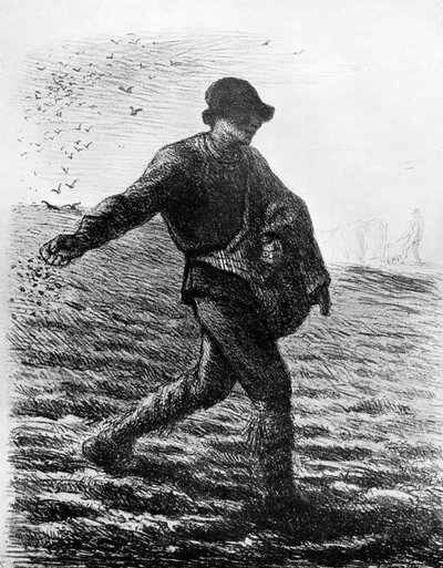 Rozsévač, c1850, 1913. od Jean Francois Millet
