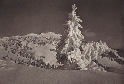 Rigi Kaltbad, Skigelande a Rigi Kulm (černobílé foto) od Jean Gaberell