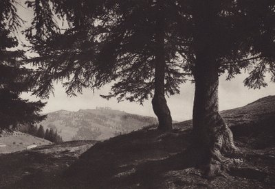 Rigi Staffel, procházka poblíž Staffel (černobílá fotografie) od Jean Gaberell