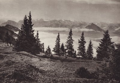 Procházka poblíž Staffel (černobílá fotografie) od Jean Gaberell