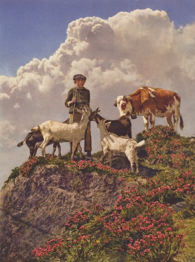 Švýcarsko: dobří přátelé (barevná fotografie) od Jean Gaberell