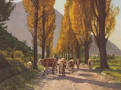 Švýcarsko: Údolí Rhony poblíž Vispu (barevné foto) od Jean Gaberell