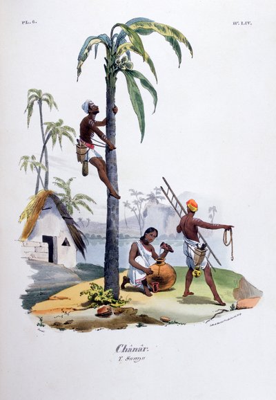 Chanar, 1828 od Jean Henri Marlet